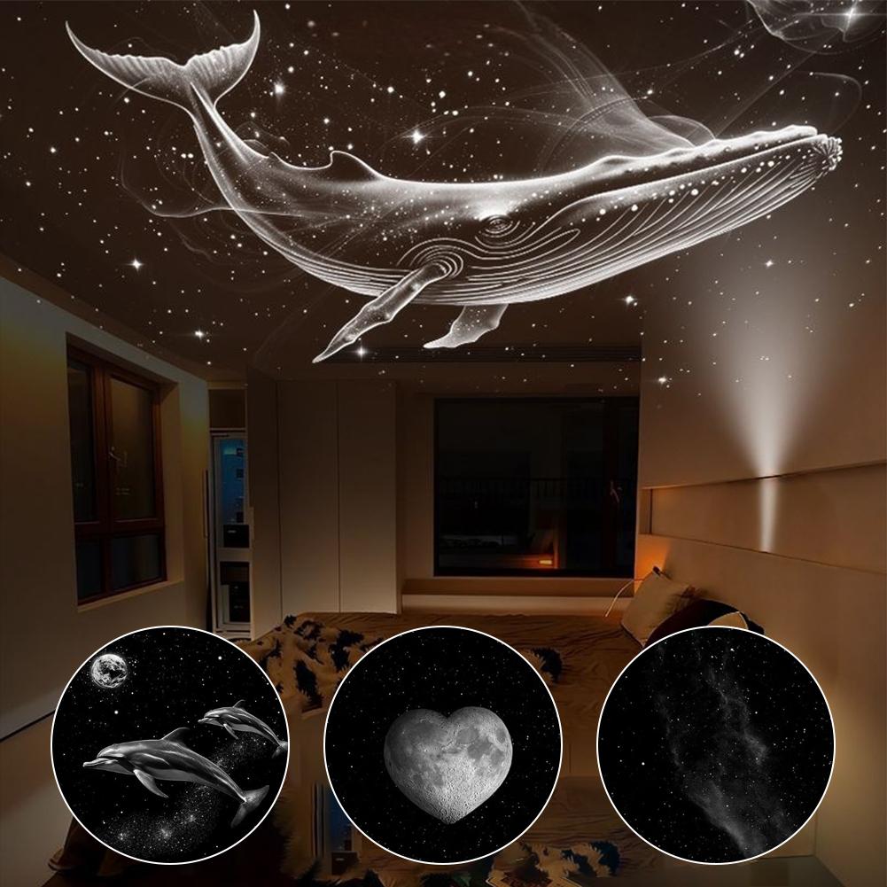 Dischi di Ricambio per Proiett - Planetarium Projector Home recensione e prezzo