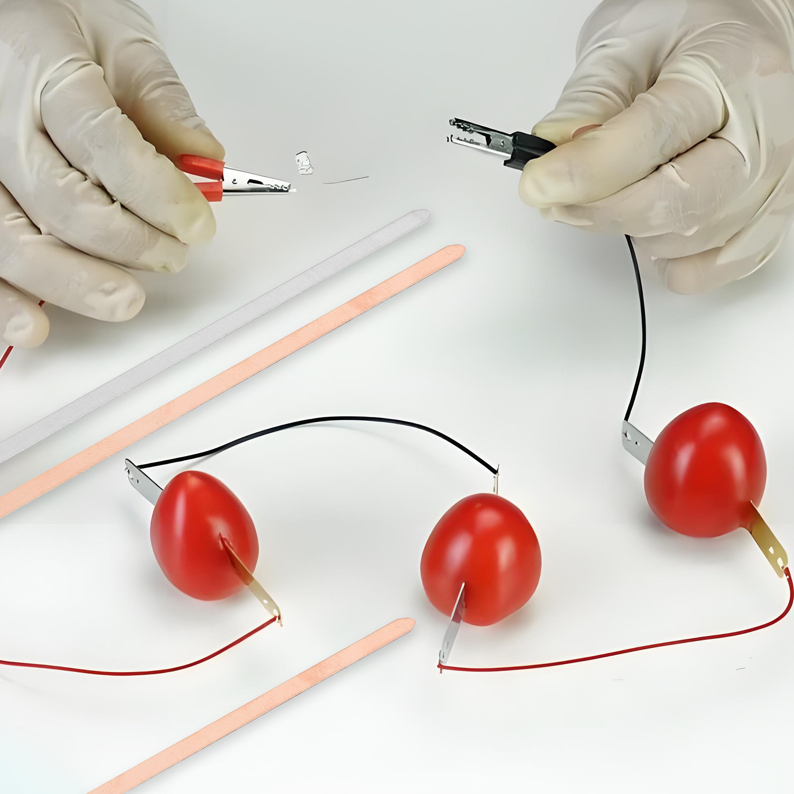 Kit Educativo di Batterie a Fr - Science Project Kit recensione e prezzo