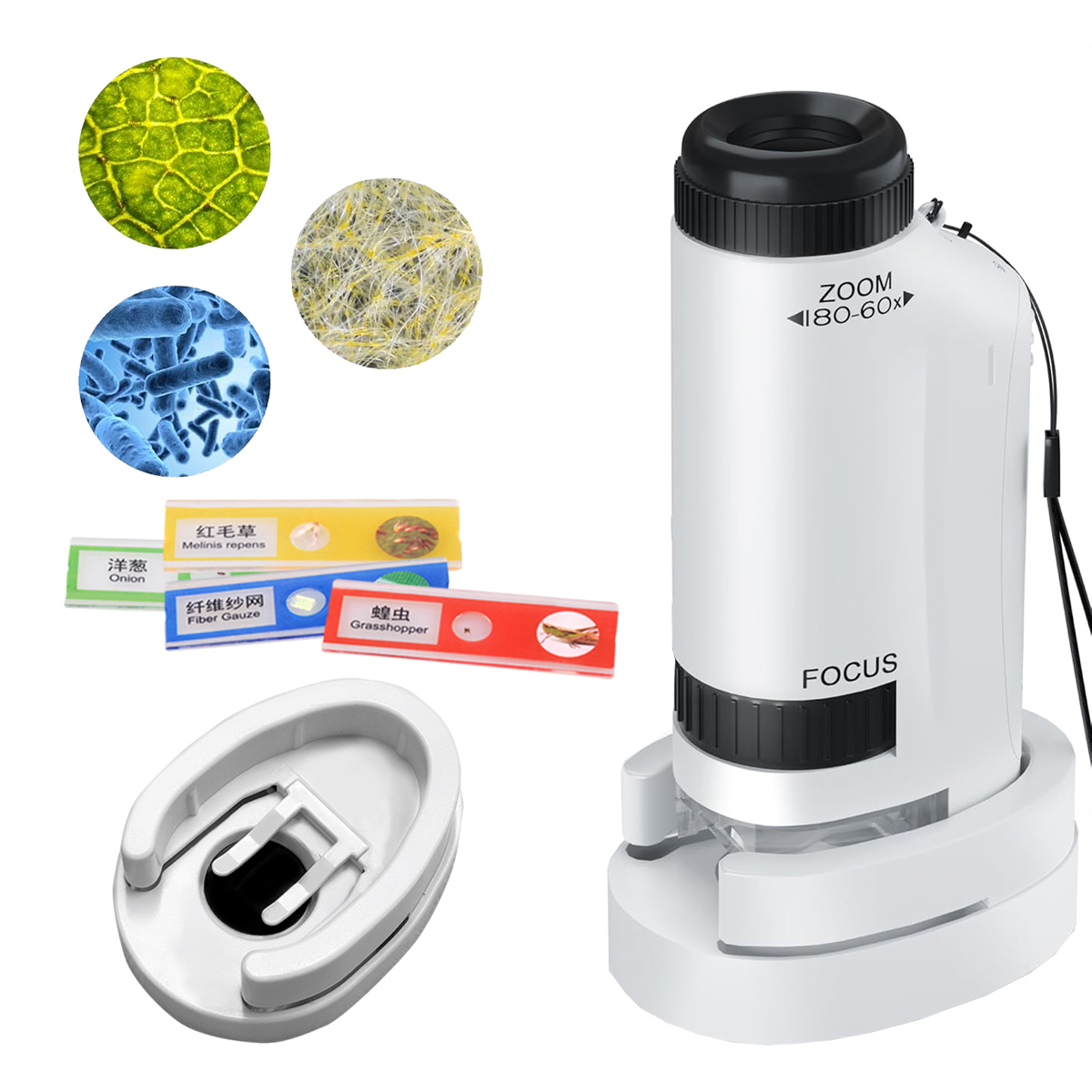 Kit di giocattoli portatili pe - Science Max recensione e prezzo